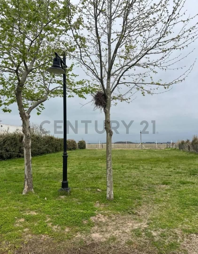 Foto de VENTA DE LOTE EN HARAS DEL SUR III, imagen 2
