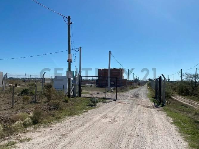 Foto de Lote doble en venta - Barrio Siempre Verde, imagen 2