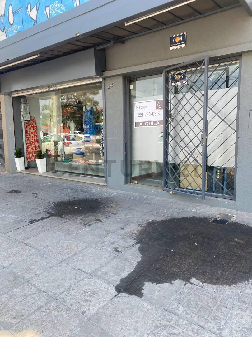 Foto de VENTA LOCAL COMERCIAL DIAGONAL 73 E/ 27 Y 28 (20 Mts), imagen 1