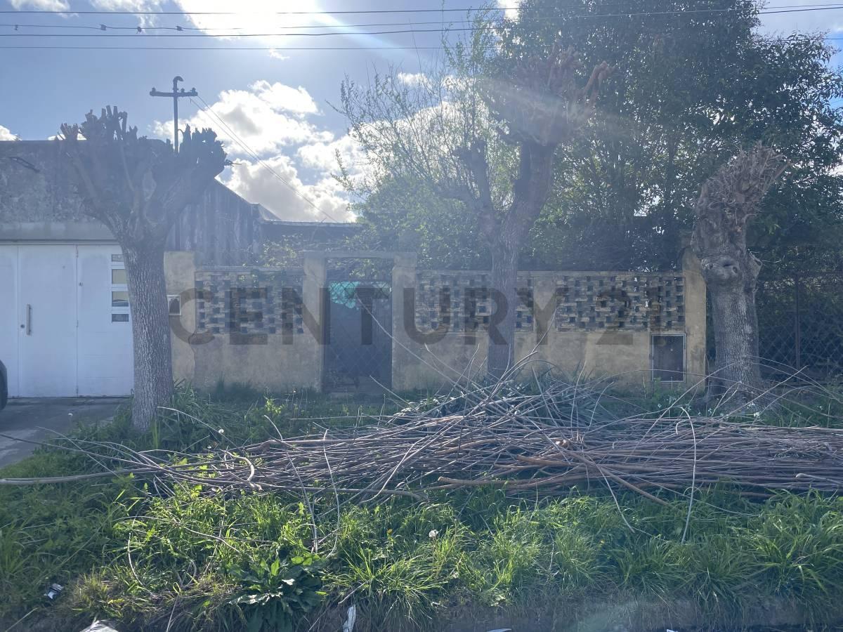 Foto de 69 Y 143. VENTA LOTE DE 10X60, imagen 1