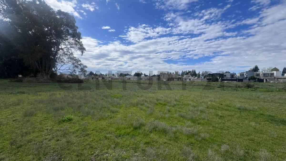 Foto de la propiedad en 13 bis y 664, Villa Garibaldi, La Plata