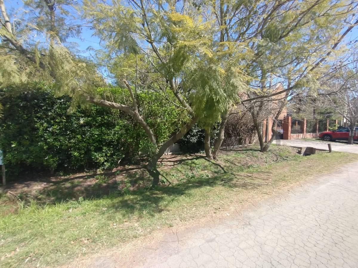 Foto de 132 bis entre 492 y 493 - VENTA DE LOTE, imagen 3