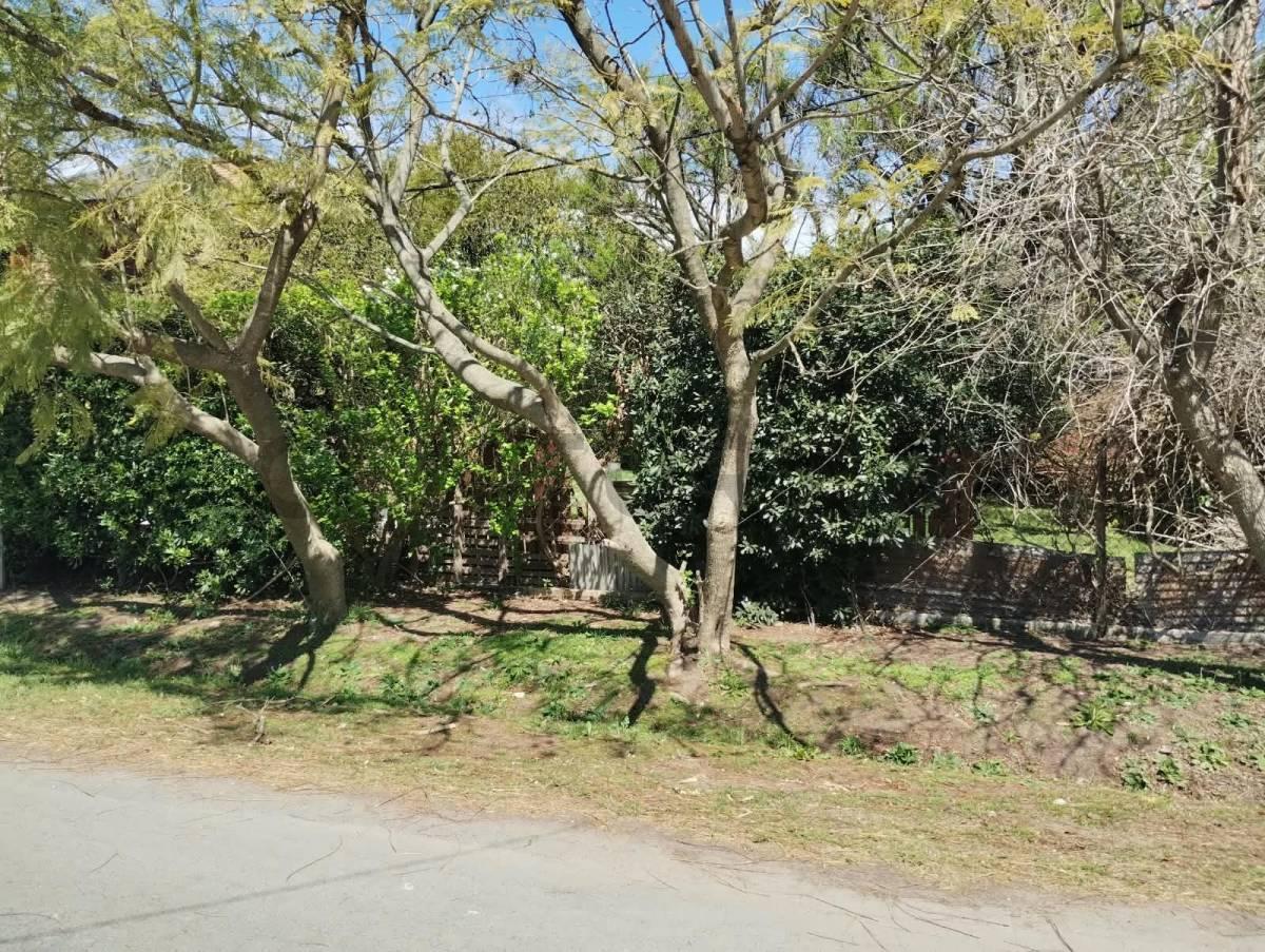 Foto de 132 bis entre 492 y 493 - VENTA DE LOTE, imagen 4