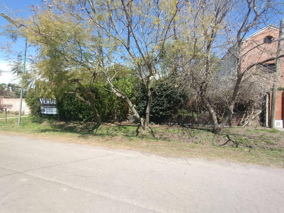 Foto de 132 bis entre 492 y 493 - VENTA DE LOTE, imagen 2