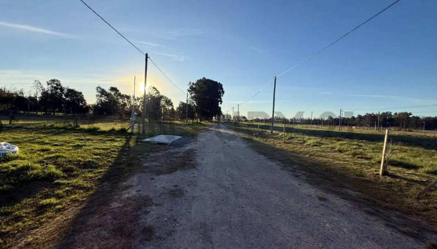 Foto de 32 e/ 191 y 192 - LOTE EN VENTA BARRIO CERRADO ALDEA DEL BOSQUE 2, imagen 5