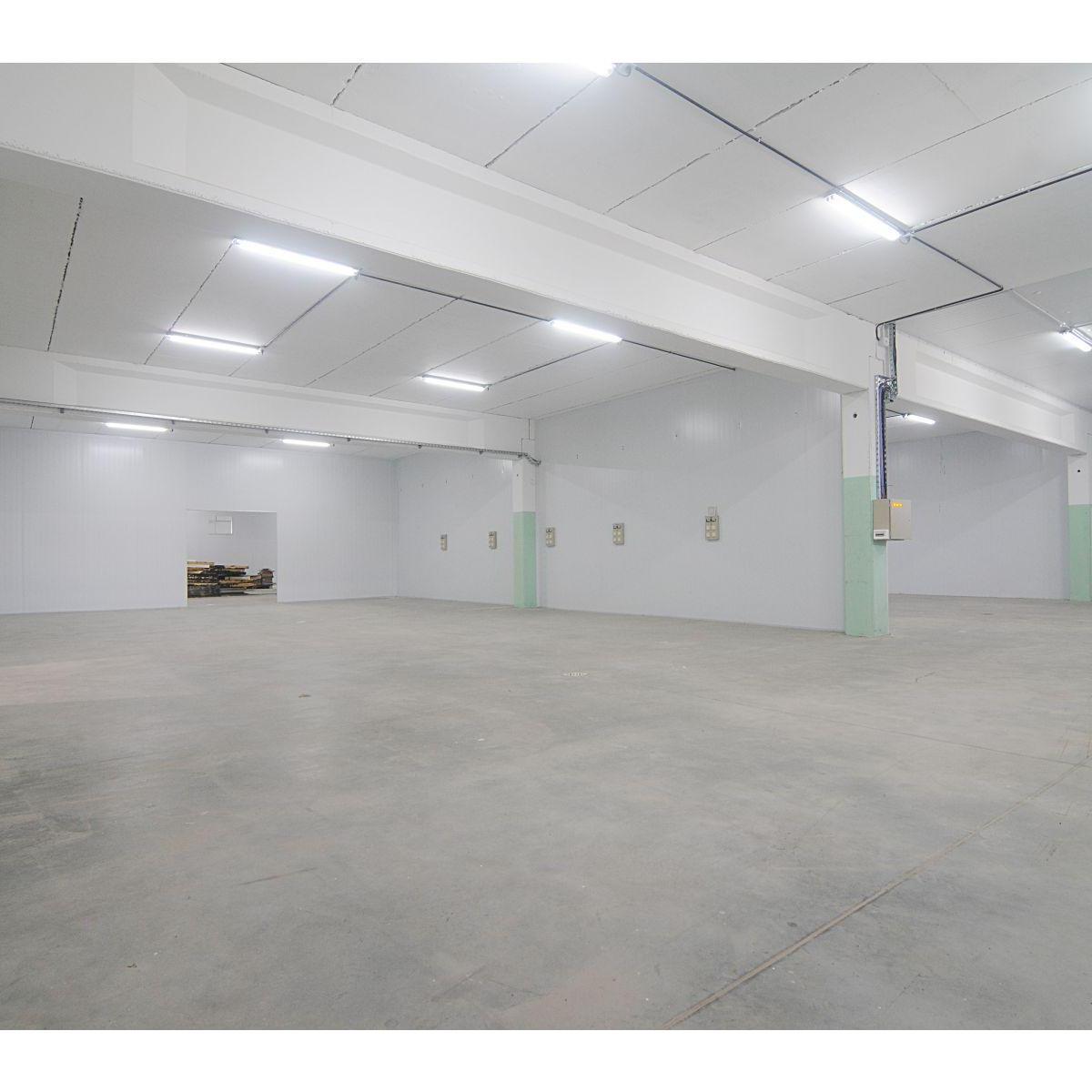Foto de Nave Industrial 7000 M2 a Estrenar y con Cámaras de Frío, imagen 2