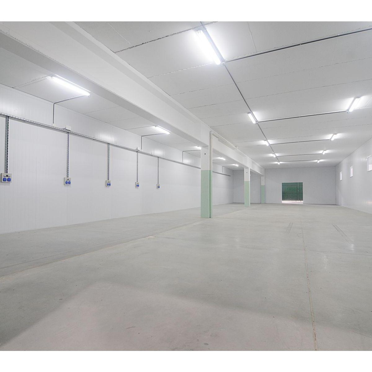 Foto de Nave Industrial 7000 M2 a Estrenar y con Cámaras de Frío, imagen 3