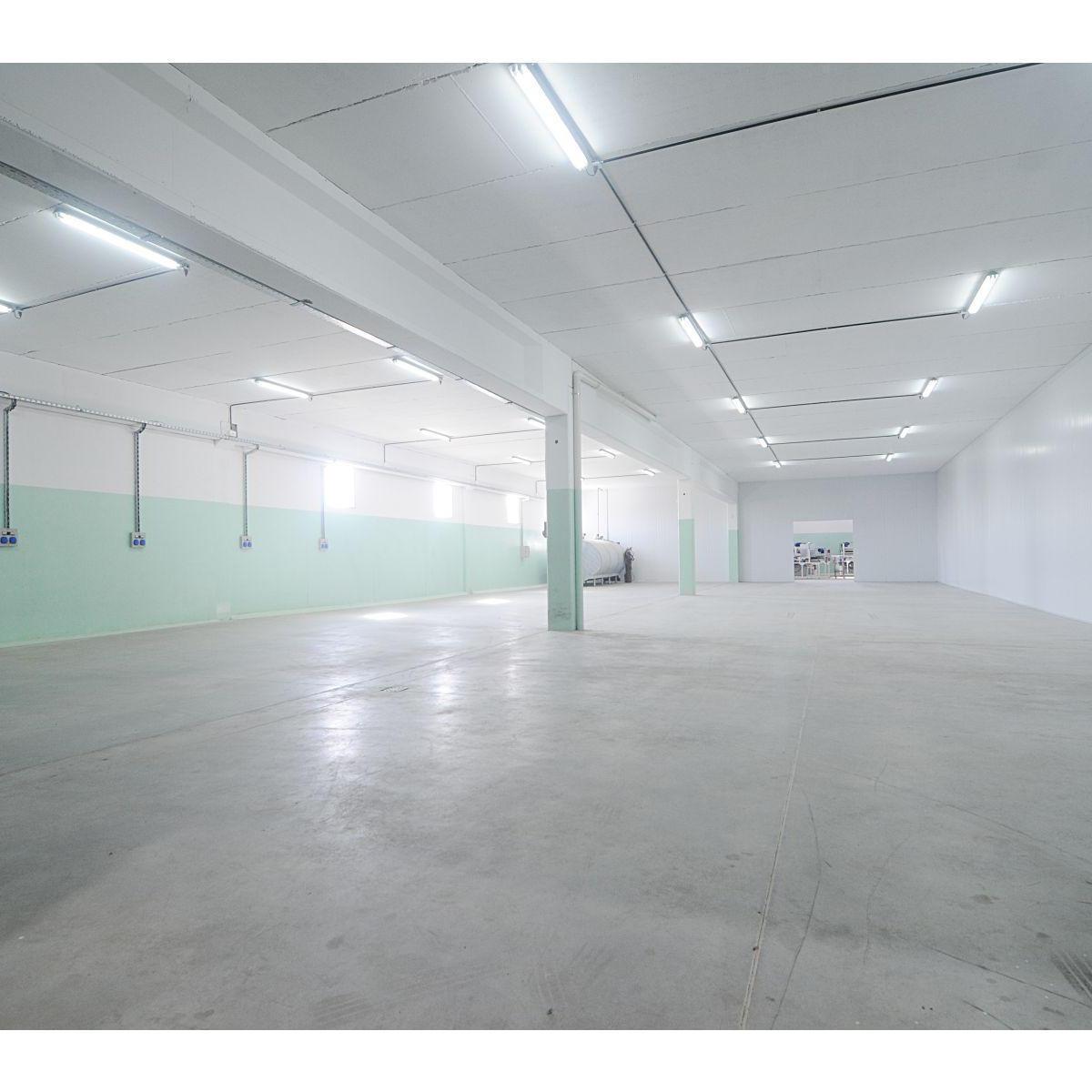Foto de Nave Industrial 7000 M2 a Estrenar y con Cámaras de Frío, imagen 4