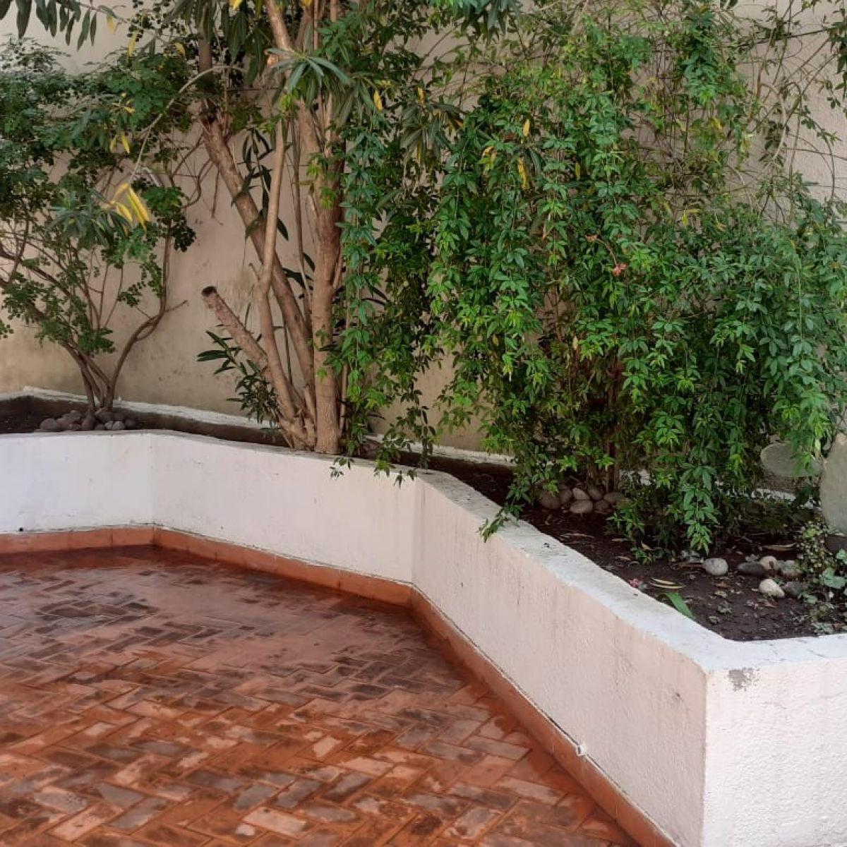 Dto. 2 Dorm. y Gran Patio (En Venta) 2
