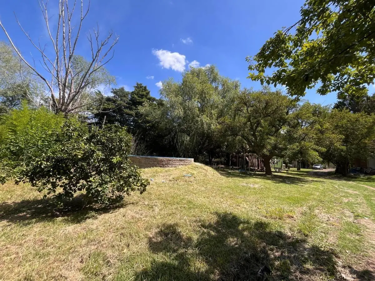 Hectáreas en Venta en Abasto Zona Estancia Chica 4