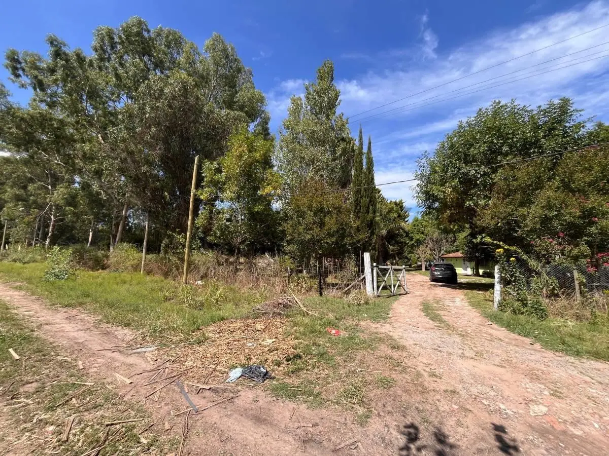 Hectáreas en Venta en Abasto Zona Estancia Chica 3
