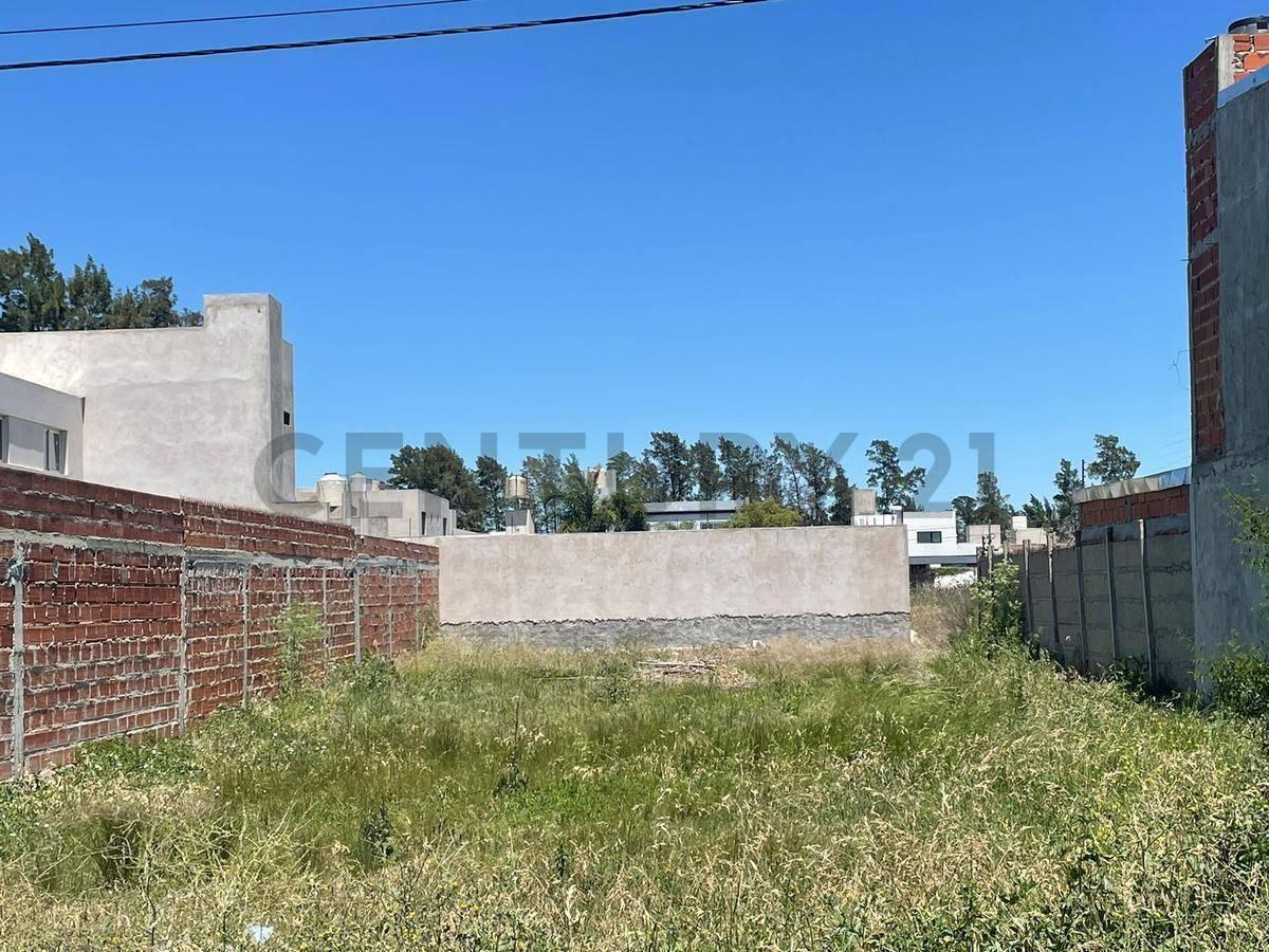 Foto de Venta de lote en San Carlos, imagen 1