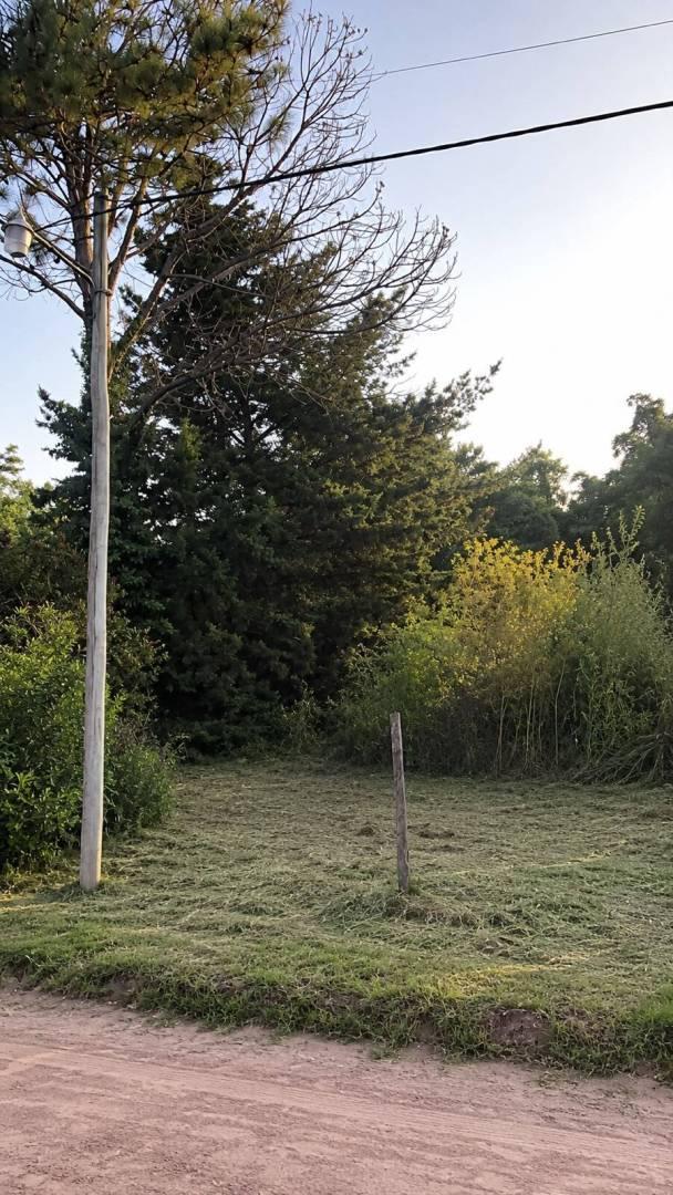Foto de Lote en Venta en Parque Sicardi, imagen 2