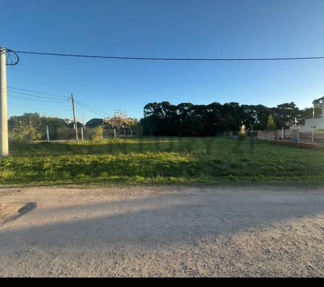 Foto de Lote en Venta, imagen 2