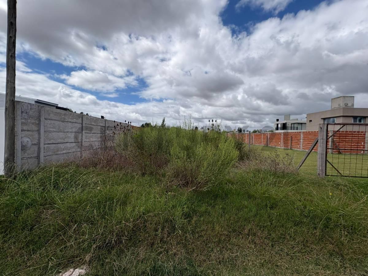 Foto de Terreno en venta en Villa Garibaldi, La Plata, imagen 4