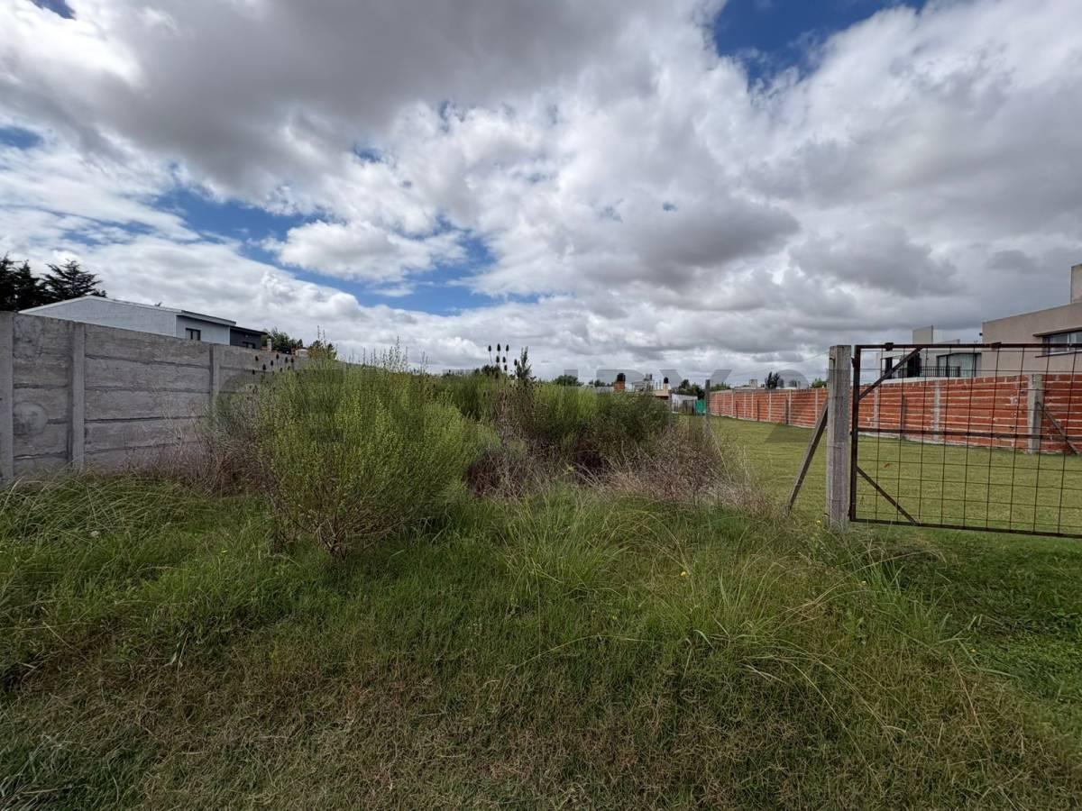 Foto de Terreno en venta en Villa Garibaldi, La Plata, imagen 3