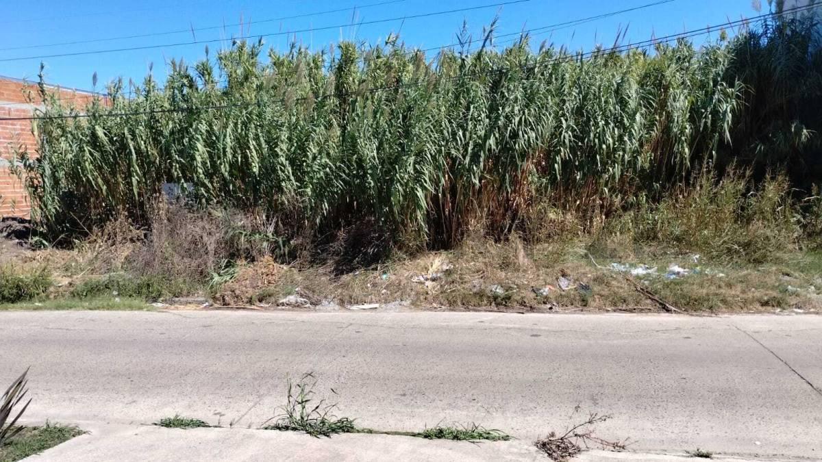 Foto de Lote en Venta en Los Hornos, imagen 3