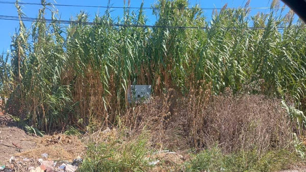 Foto de Lote en Venta en Los Hornos, imagen 2