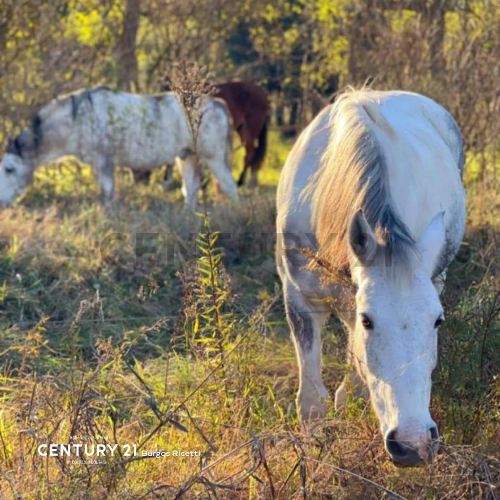 Foto de Lotes en venta en Barrio Nacho Correas, imagen 2