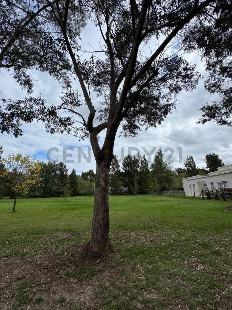 Foto de Lote en Venta en Miralagos II, Club de Campo, Golf & Spa., imagen 3
