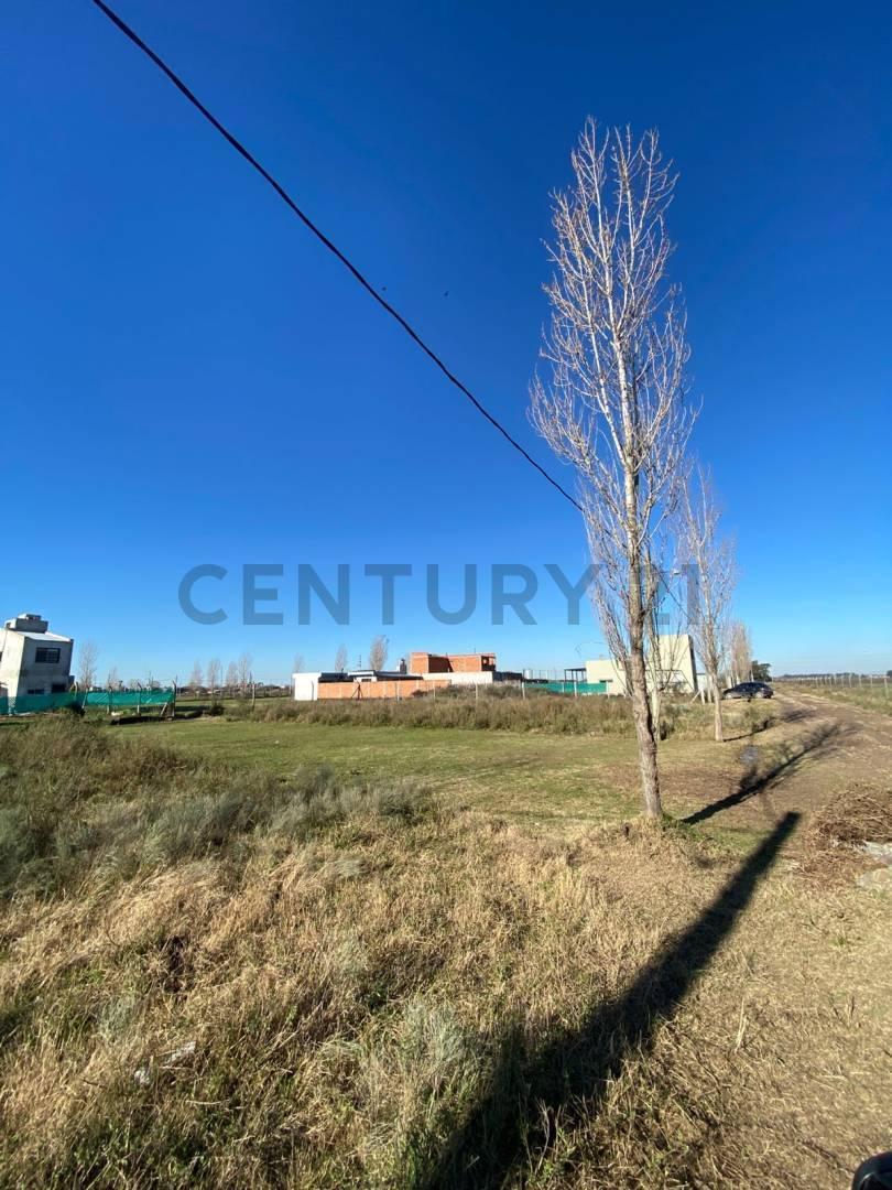 Foto de Lote en Venta en La Plata, imagen 2