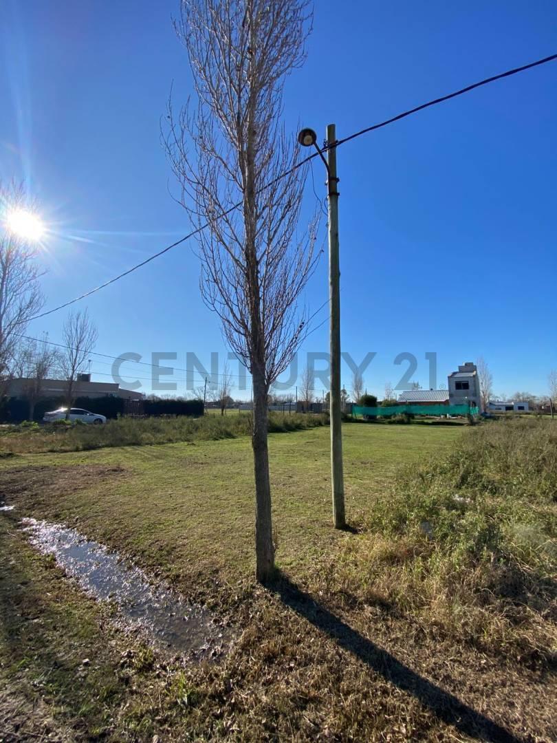 Foto de Lote en Venta en La Plata, imagen 4