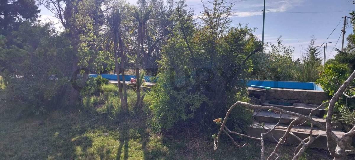 Foto de Casa Quinta en Venta en Los Talas, imagen 3
