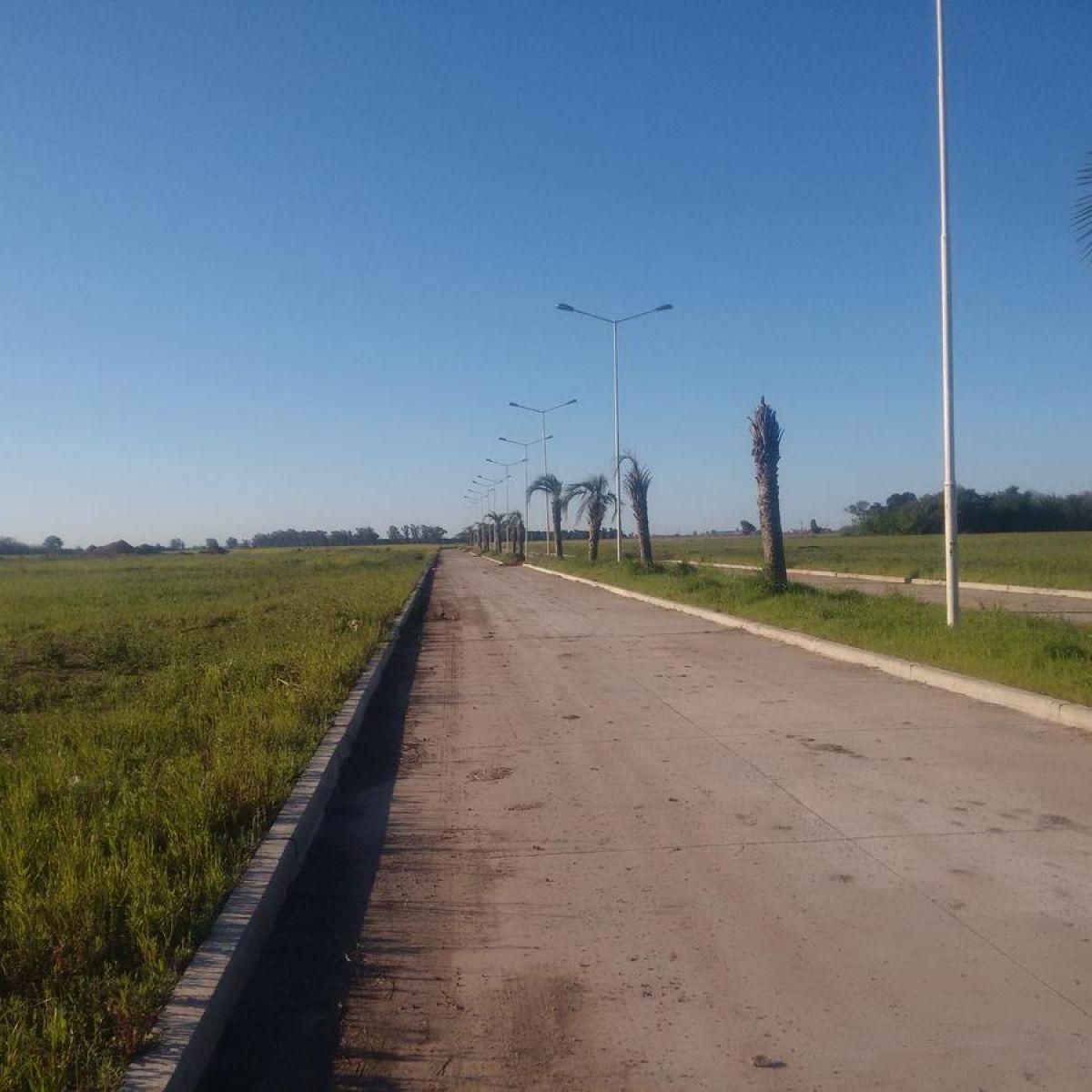 Lote en Capitán Bermúdez - Terranova - Manzana P - Lote 7 5