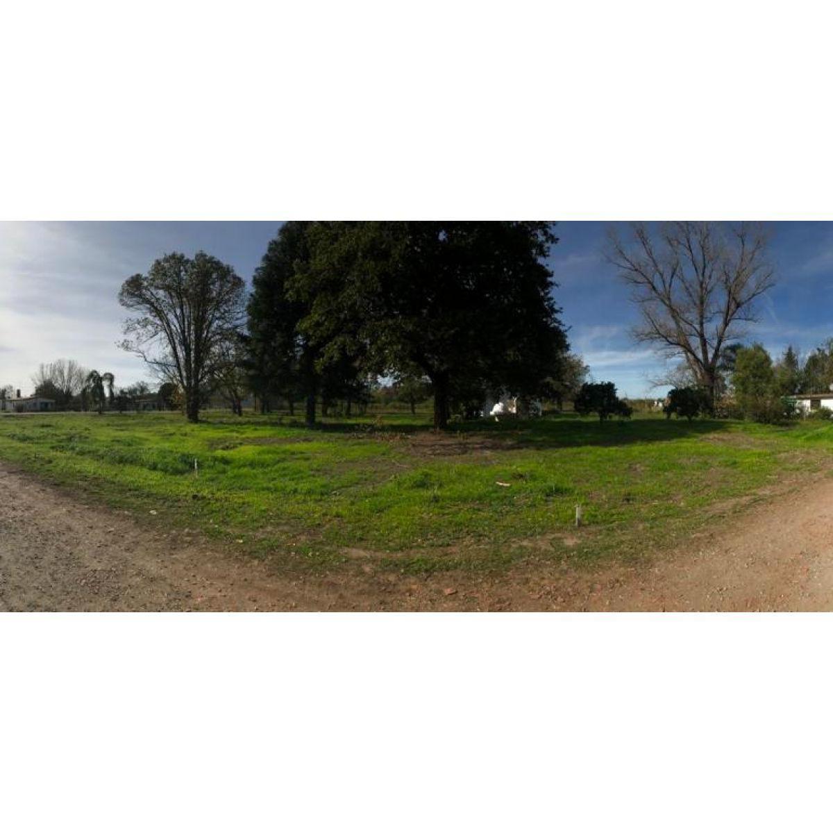 Terreno Ibarlucea - Barrio Los Nogales - Lote 5 1