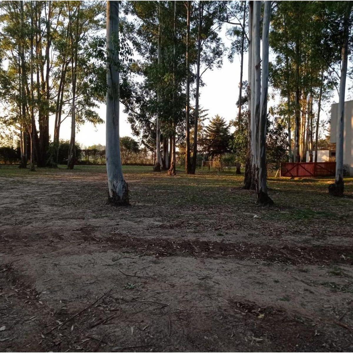 Foto de Lote Barrio cerrado - Puerto Paraiso, imagen 2