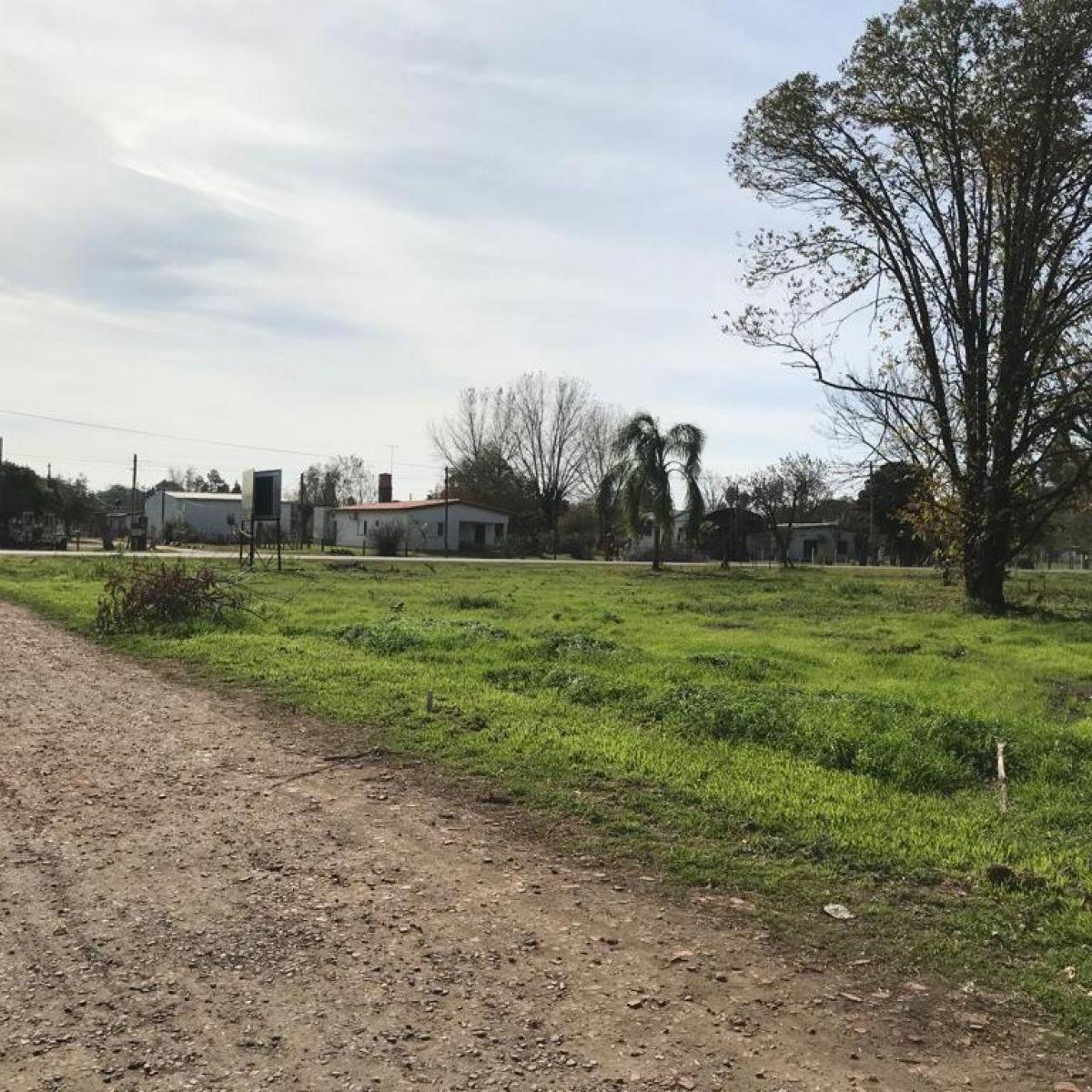 Terreno Ibarlucea - Barrio Los Nogales - Lote 4 - Frente Calle Alfredo Schilla 3