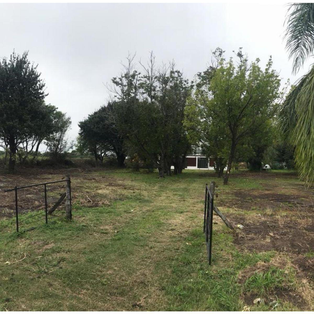 Terreno Ibarlucea - Barrio Los Nogales - Lote 4 - Frente Calle Alfredo Schilla 2