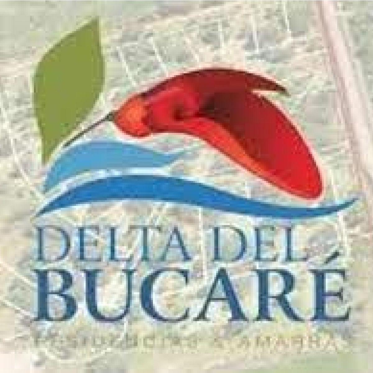 Foto de Delta del Bucare - Monje - Lote 100, imagen 4