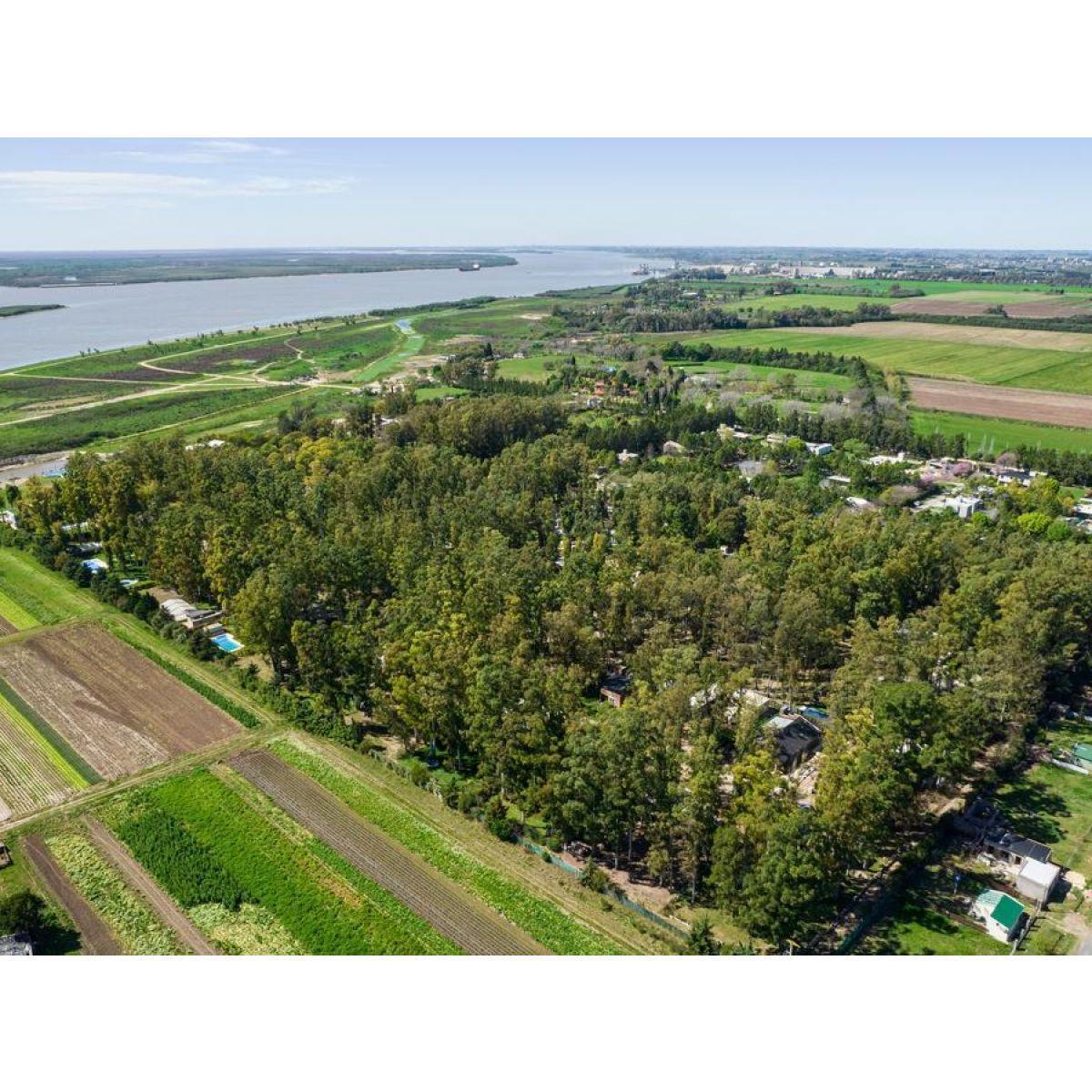 Foto de Lote Puerto Paraíso, imagen 3