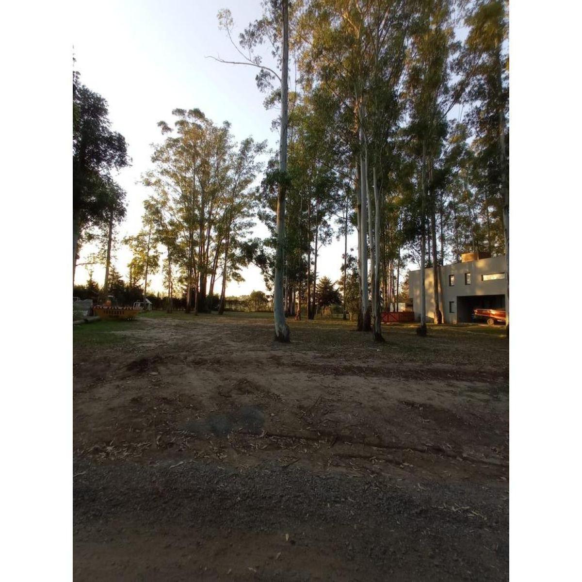 Foto de Lote Puerto Paraíso, imagen 2