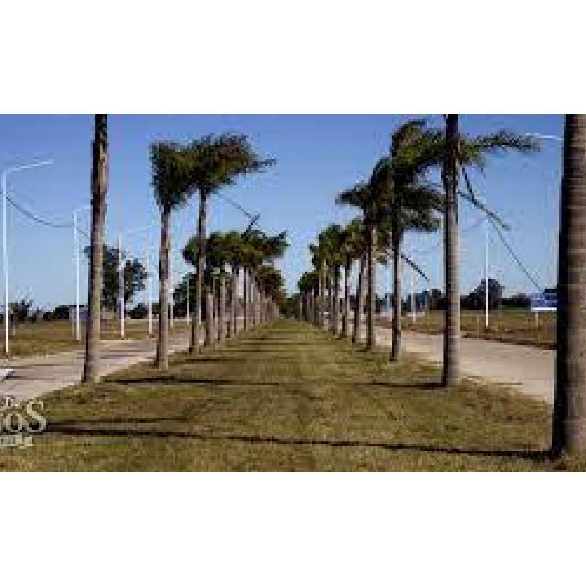 Foto de VENTA DE LOTE EN ARROYO SECO - OPORTUNIDAD, imagen 2