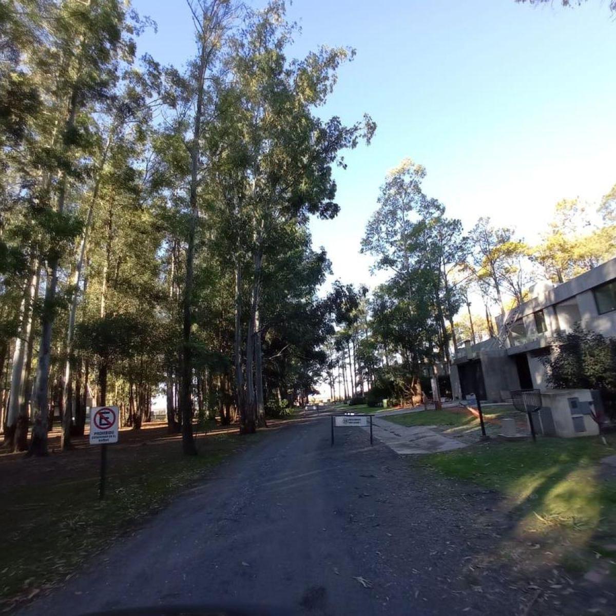 Foto de Venta Lote Puerto Paraíso, imagen 5
