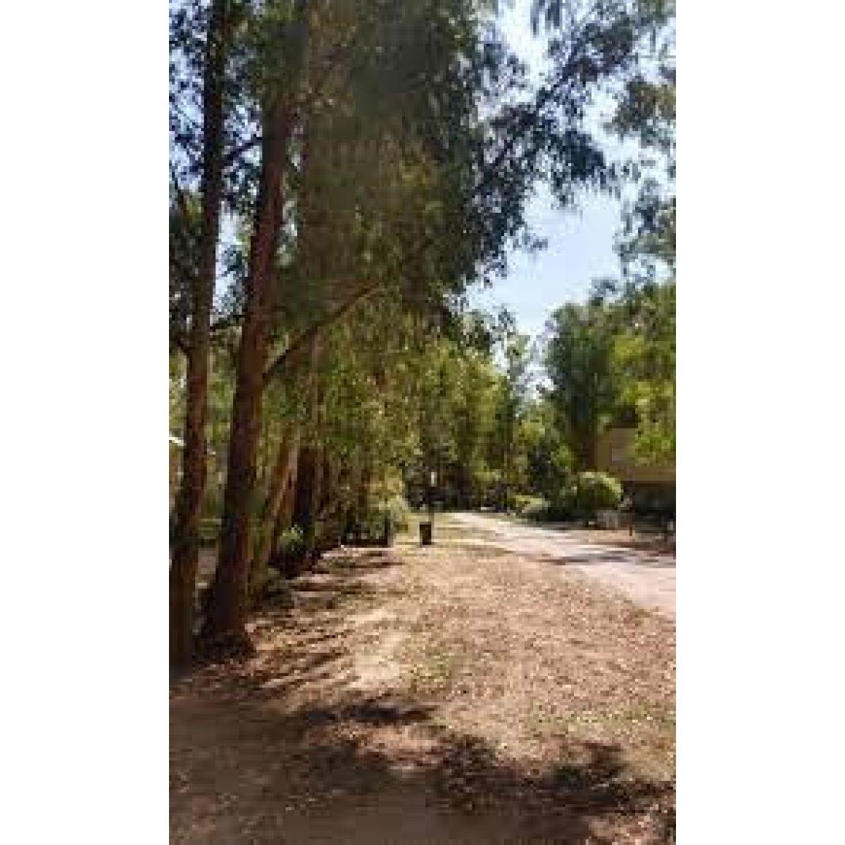 Foto de Venta Lote Puerto Paraíso, imagen 2