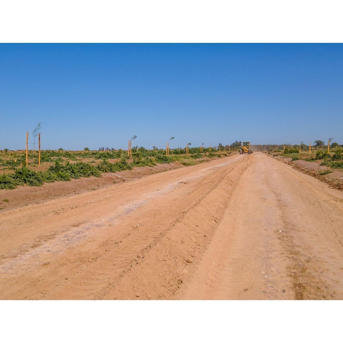 Venta Terreno en Ibarlucea - El Origen - Lote 125 3