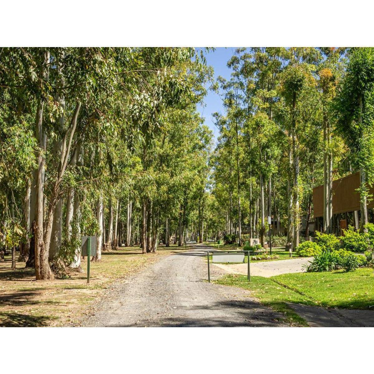 Foto de VENTA LOTE BARRIO PRIVADO Puerto Paraíso. Lote 51, imagen 4