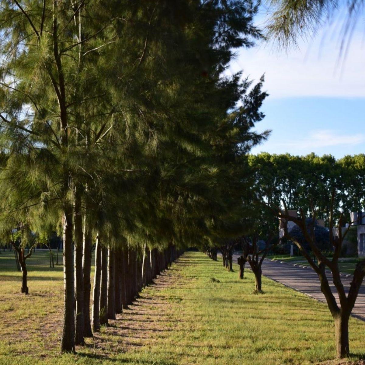 Vendo Terreno en Azahares del Parana 4