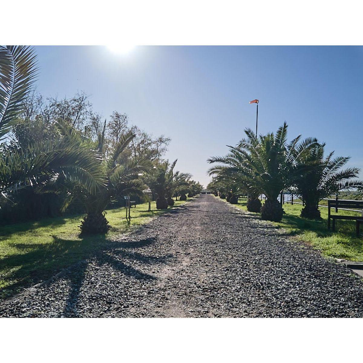 Lote Sobre El Rio 5