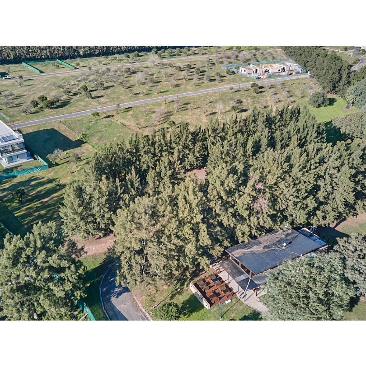 Foto de LOTE SOBRE EL RIO, imagen 4