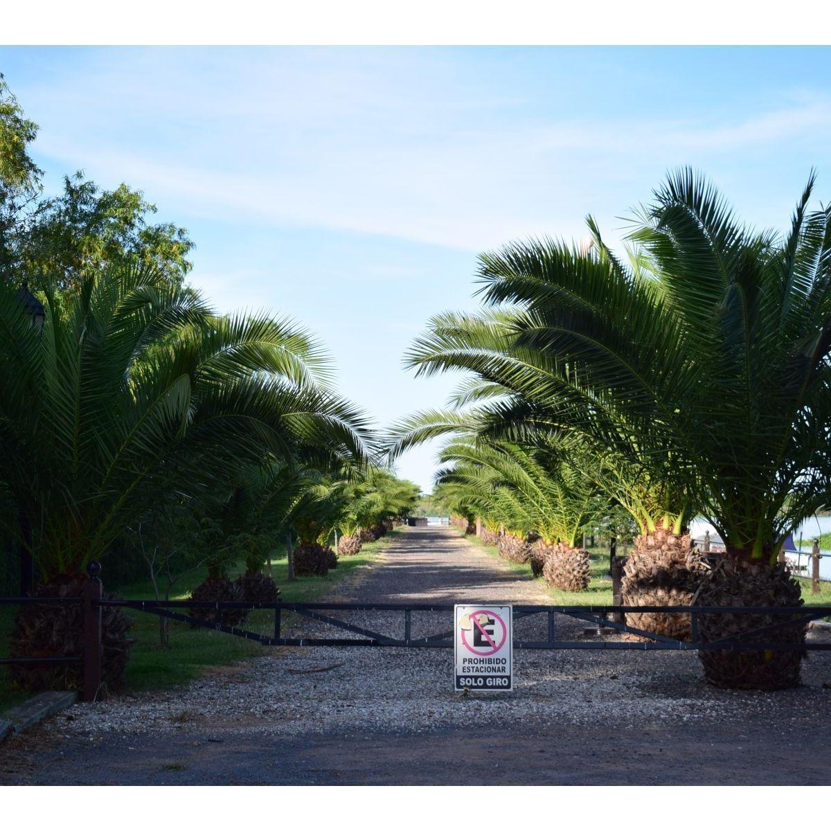 Oportunidad Barrio Cerrado Costanera 3