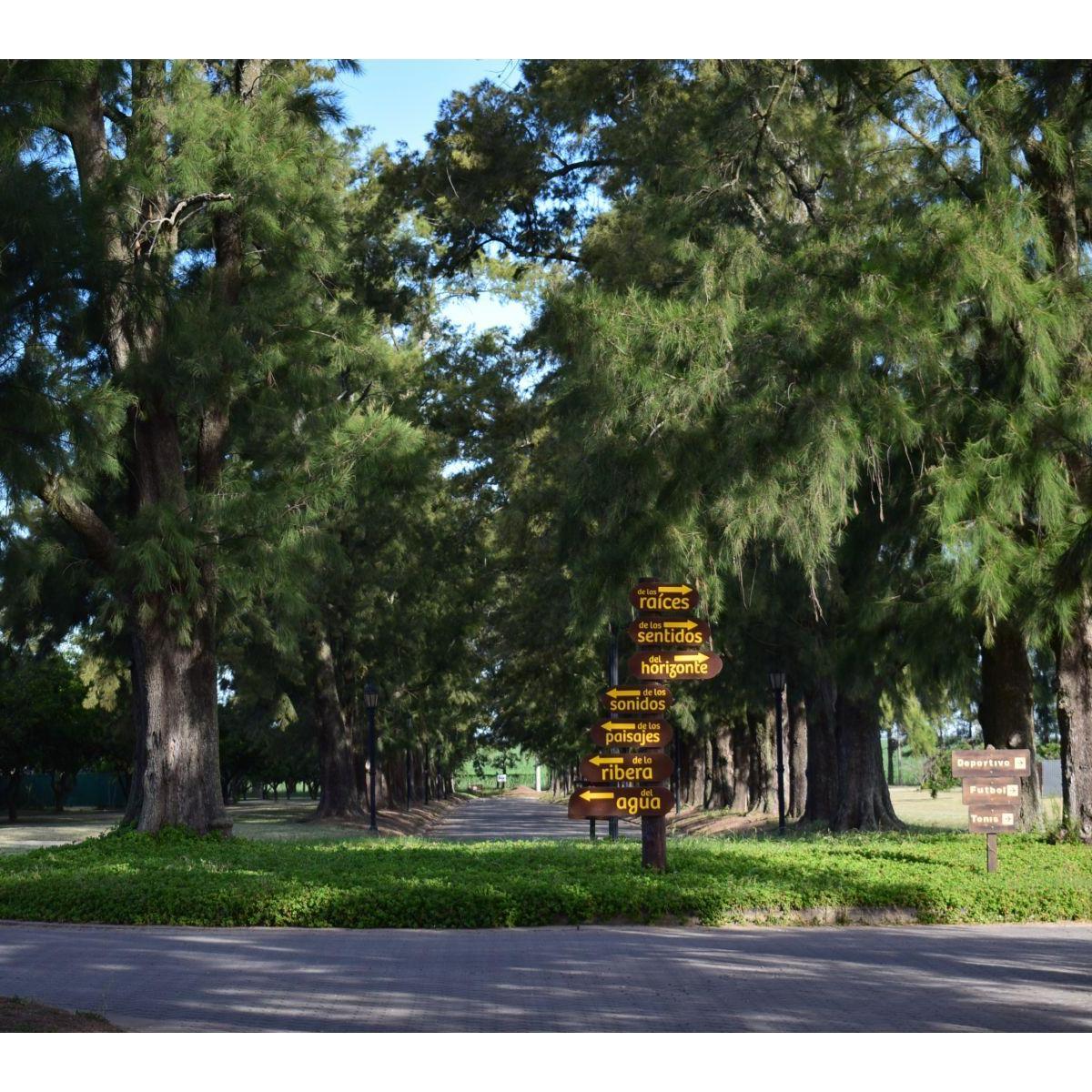 Barrio Cerrado Costanera - Barrio Ribera 5