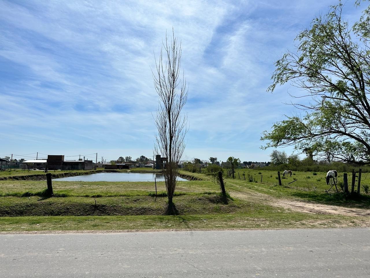 Lote en Ibarlucea - El Origen - Lote 23 - Frente calle principal Schilla - Cerca de Funes - ACEPTA F