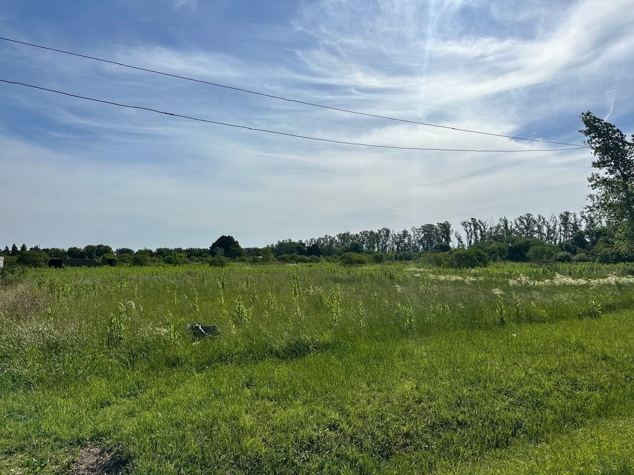 Foto de Venta lote en Ibarlucea - Barrio Echeverría - Cruce Ruta 34 y AO12 - 366m2, imagen 2