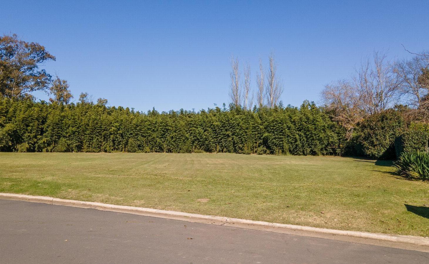 Foto de VENTA LOTE CARLOS PELLEGRINI- EXCELENTE UBICACIÓN, imagen 3
