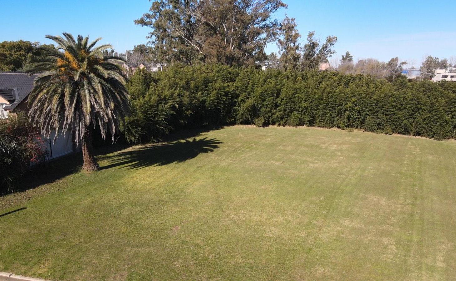 Foto de VENTA LOTE CARLOS PELLEGRINI- EXCELENTE UBICACIÓN, imagen 4