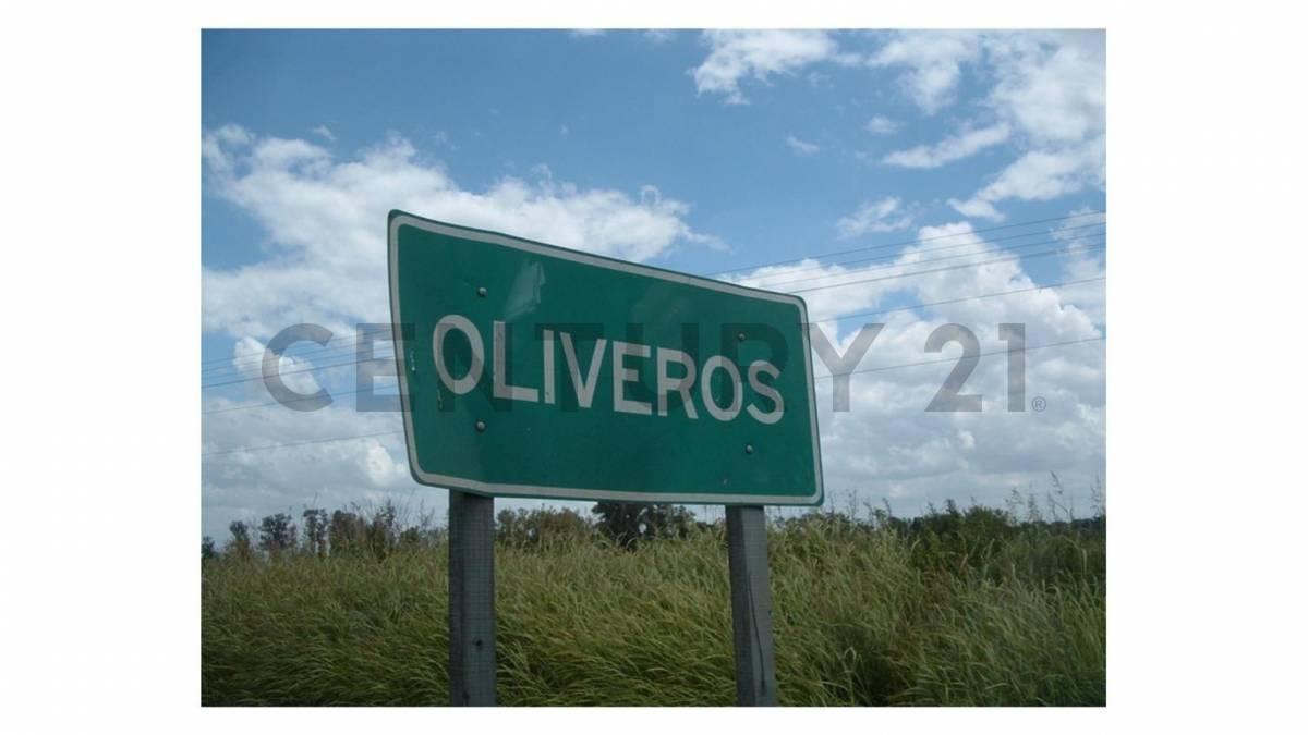 Foto de OPORTUNIDAD INVERSION TERRENOS EN OLIVEROS, imagen 3
